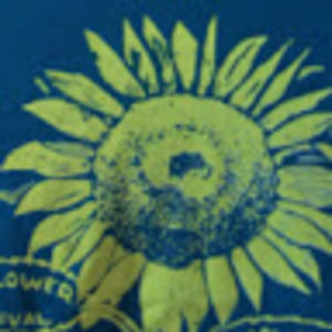 Meet your Posher, Ava